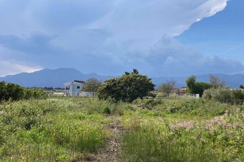 Finca i El Perello, Tarragona, El Perello - € 35.000 | Ref: Finca rústica p - foto 10